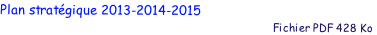 Plan stratégique 2013-2014-2015
                                                                                           Fichier PDF 428 Ko

